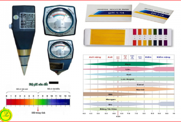 TÌM HIỂU VỀ pH ĐẤT VÀ MỐI LIÊN HỆ TỚI SINH TRƯỞNG CÂY TRỒNG
