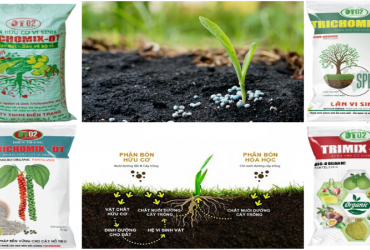 GIẢI PHÁP BÓN PHÂN HIỆU QUẢ CHO CÂY TRỒNG