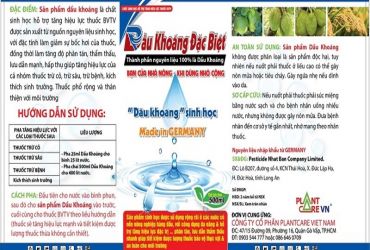 DẦU KHOÁNG VÀ NHỮNG TÁC DỤNG GIÚP BẢO VỆ CÂY TRỒNG