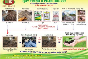 Phân hữu cơ vi sinh & quy trình ủ