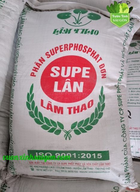 Super Lân Lâm Thao