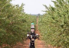 Robot trong nông trại