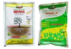 Trichoderma - tài nguyên được đánh thức