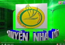 Chăm sóc đọt non, chồi hoa trên cây điều